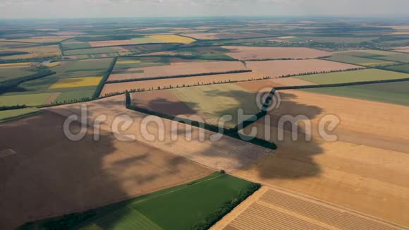 从空中看到黄色和绿色的农田视频的预览图