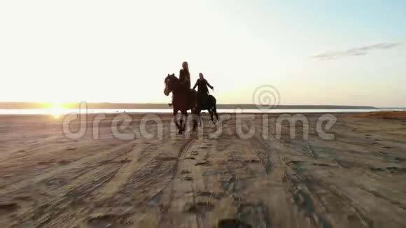 在开阔的海岸骑马的女人的无人机空中视野终身培训视频的预览图