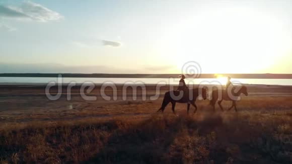 在开阔的海岸骑马的女人的无人机空中视野拖延训练慢跑视频的预览图