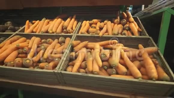 在超市的货架上放了很多胡萝卜视频的预览图