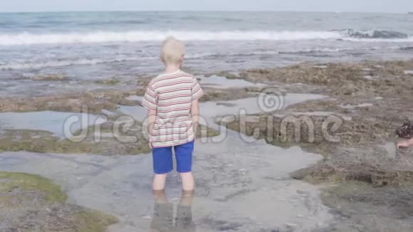 孩子们探索岩石海岸视频的预览图