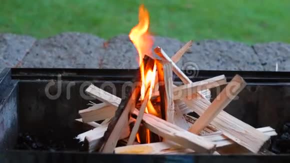 篝火中燃烧的火焰的特写视频的预览图