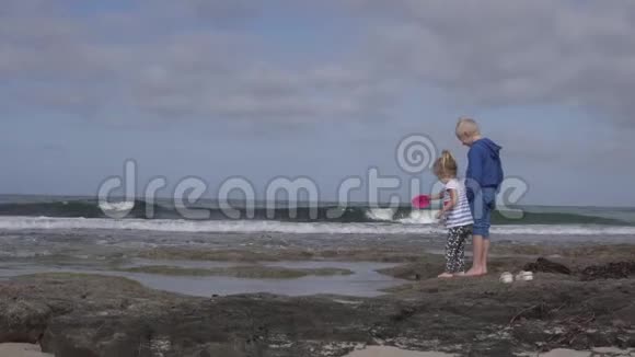 一个小女孩和她哥哥正在海边的海滩上玩耍视频的预览图