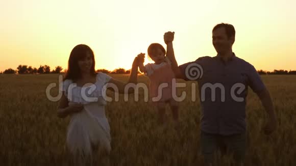 快乐的女儿和爸爸妈妈一起周游一片成熟的小麦孩子笑了家庭团队合作宝贝视频的预览图