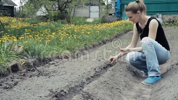 女人播下黄瓜的种子视频的预览图