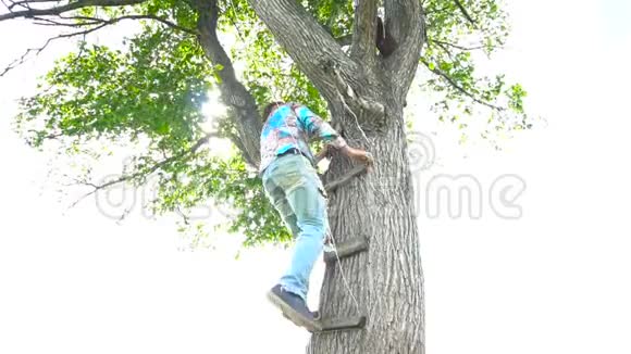 人爬上树视频的预览图