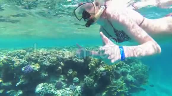 红海珊瑚礁附近的小女子戴着捕蛇面具在红海游泳视频的预览图