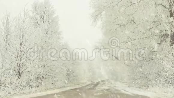降雪时的乡村路边视频的预览图