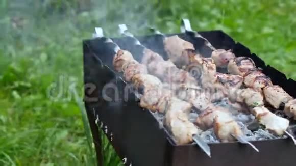 在户外烧烤活动中在烤架上关闭新鲜肉串在绿色草地背景下的烤架上烤制的肉Coo视频的预览图