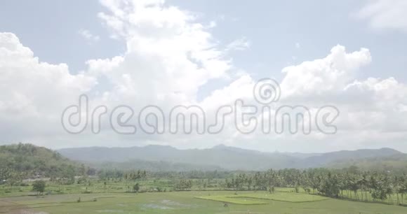村景和美丽的稻田在一个山谷与椰子树在山下原始的镜头未分级没有颜色视频的预览图