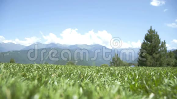 雌性的脚在绿草中行走柔软的草有人的脚视频的预览图