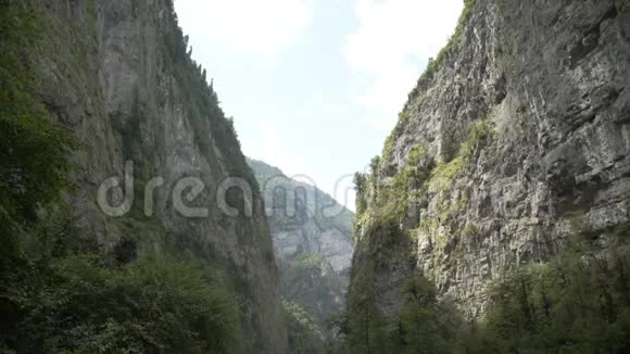 山峡山林树木阿布哈兹地区山景视频的预览图