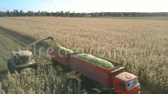 机器通过管道将玉米拖入拖车视频的预览图