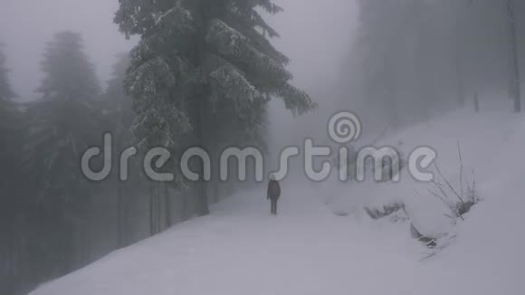 寂寞女子在冬景林漫步的后景视频的预览图