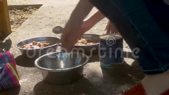 女人手把狗食物放进碗里视频的预览图