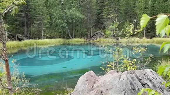俄罗斯阿尔泰共和国明亮的绿松石间歇泉湖在森林里迎接夏秋视频的预览图