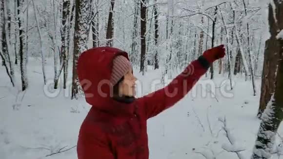 年轻女子触摸白雪覆盖的树木在冬天的森林和大自然中享受乐趣视频的预览图