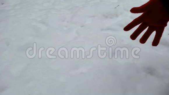 人们从地上取雪在森林中享受美丽的冬季自然视频的预览图