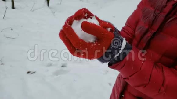人们手中拿着雪球享受冬天的自然娱乐视频的预览图