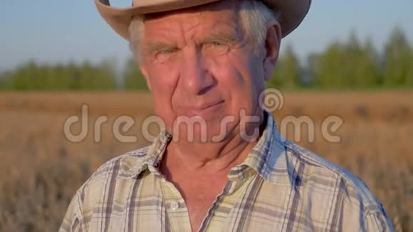 一位老白种人农民农学家在麦田上的牛仔帽肖像视频的预览图