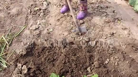 一个女人用铲子在地面上手工劳作视频的预览图