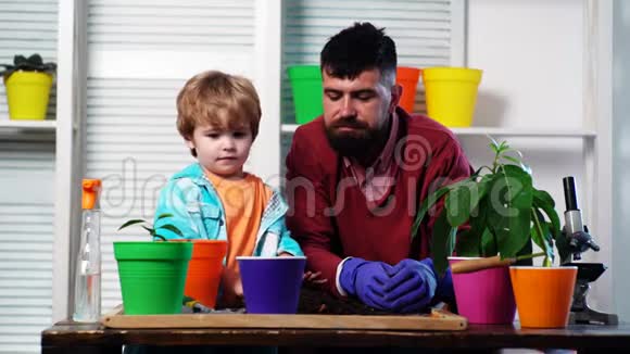 可爱的孩子帮助他的父亲照顾植物父亲和儿子在后院从事园艺工作春天视频的预览图