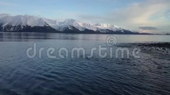 阿拉斯加平静的海洋视频的预览图
