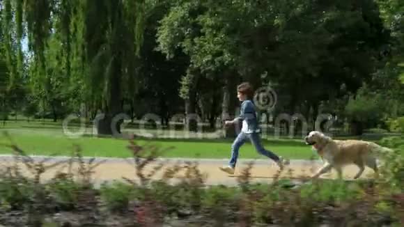 快乐的小男孩和他的纯种狗跑步视频的预览图