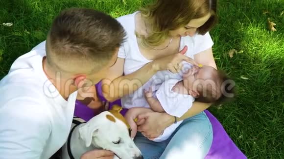 年轻的父母和可爱的婴儿和宠物一起坐在夏季公园里视频的预览图