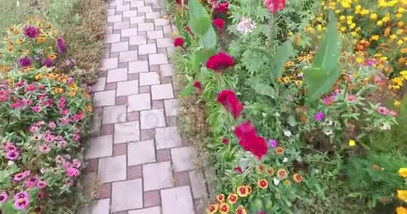 沿着花园里鲜花环绕的小路走视频的预览图