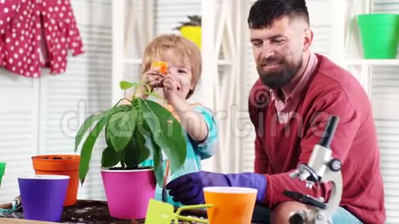 周末快乐一对父子滋润男孩把水洒在植物花上家庭花园里的实验视频的预览图