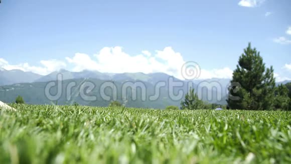 年轻女子光着脚在绿草地上走得很近视频的预览图