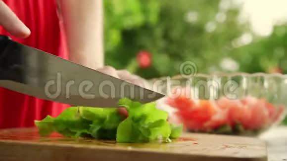 女人准备美味的蔬菜沙拉和切绿生菜视频的预览图