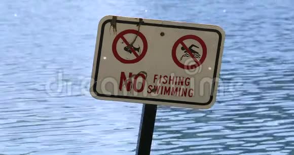 禁止捕鱼禁止游泳视频的预览图