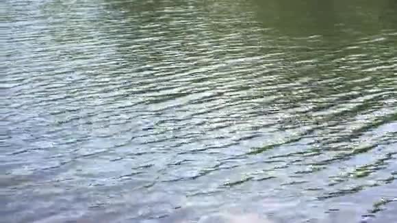奇妙的河水小波浪反射阳光视频的预览图