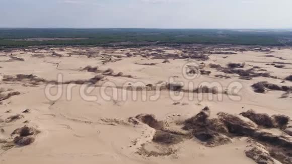 美丽的自然沙漠和沙上汽车车轮的痕迹视频的预览图