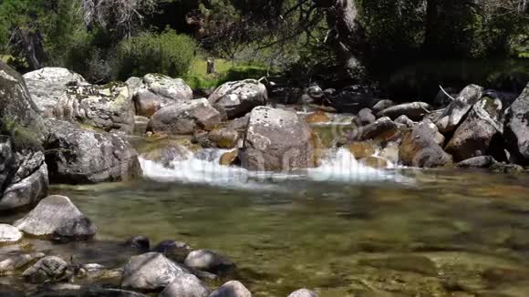 河水清澈的山涧流在森林中的大石头间视频的预览图