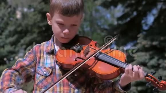 小男孩的画像是在松树的背景下站在公园里拉小提琴视频的预览图