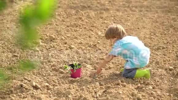 生态度假活动生态农场工人快乐的小农夫种田幼儿时代农业和农业视频的预览图