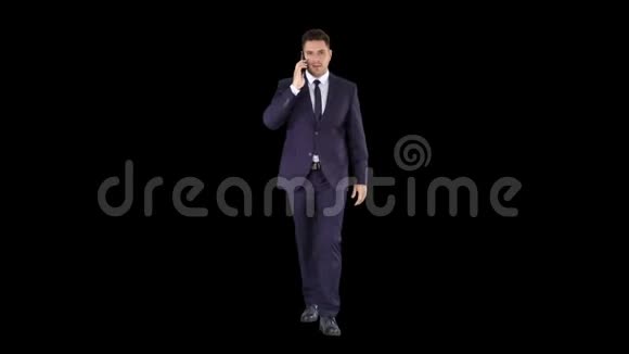 成功的西装男会打电话走路阿尔法频道视频的预览图