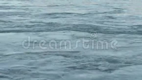 冬季提契诺河全景视频的预览图