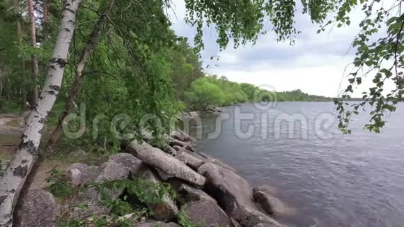 湖中的岩石和桦树在风中飘扬视频的预览图