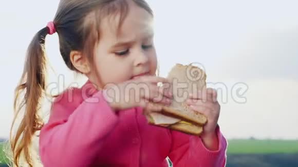 有趣的三岁女孩在阳光下吃三明治视频的预览图