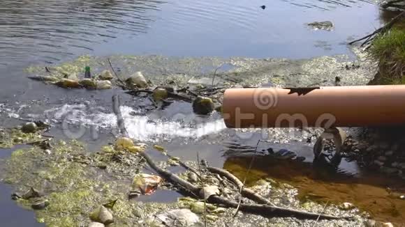 池的水污染视频的预览图