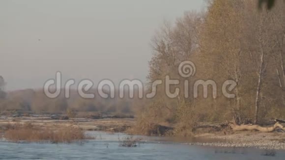 冬季提契诺河全景视频的预览图