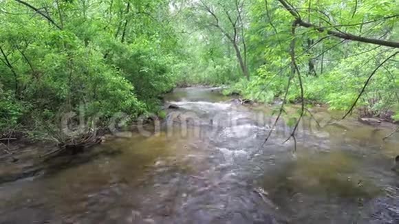 满流的溪流在森林中快速流动视频的预览图