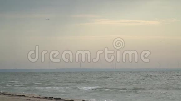 海岸日落海鸥在飞翔地平线上有风力涡轮机视频的预览图