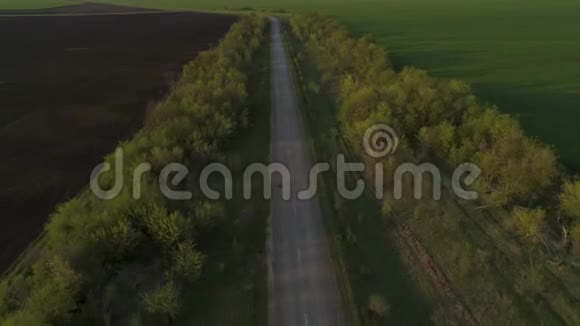 乡村道路的俯视图日落时森林乡村道路航测视频的预览图