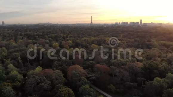 从博洛涅森林俯瞰巴黎天际线和埃菲尔铁塔在朝阳下飞翔视频的预览图