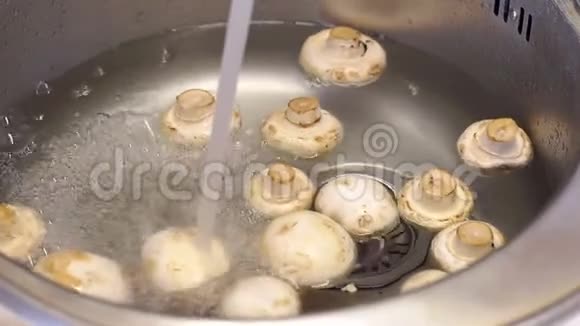 在水槽里漂浮在水中的香葱蘑菇的特写镜头视频的预览图